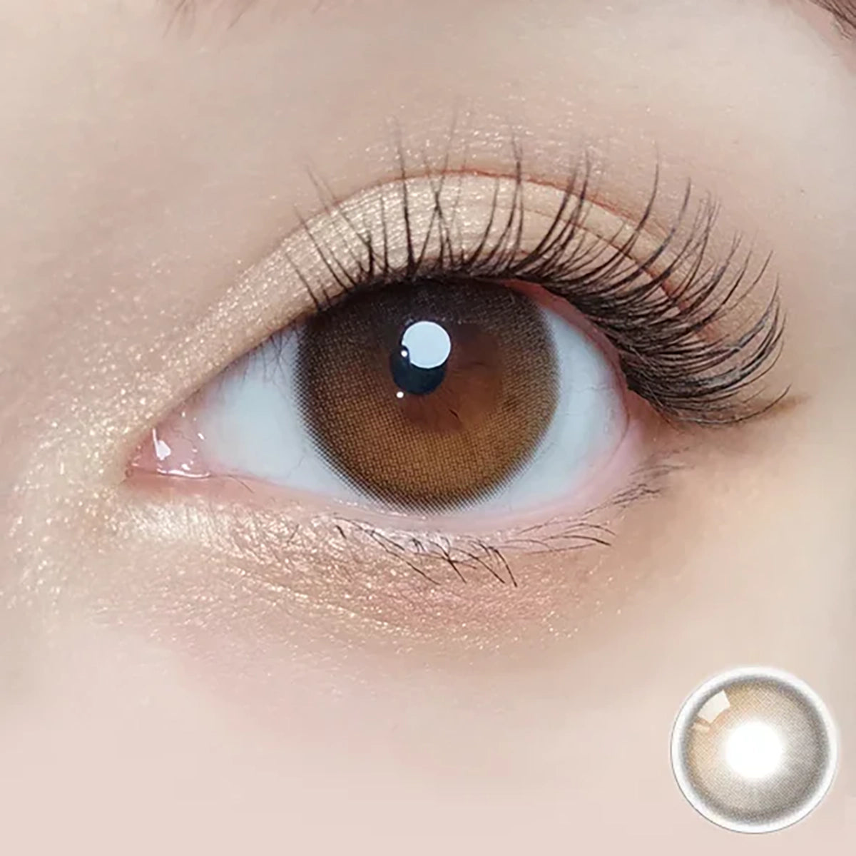 Daymood 1Day Brown
