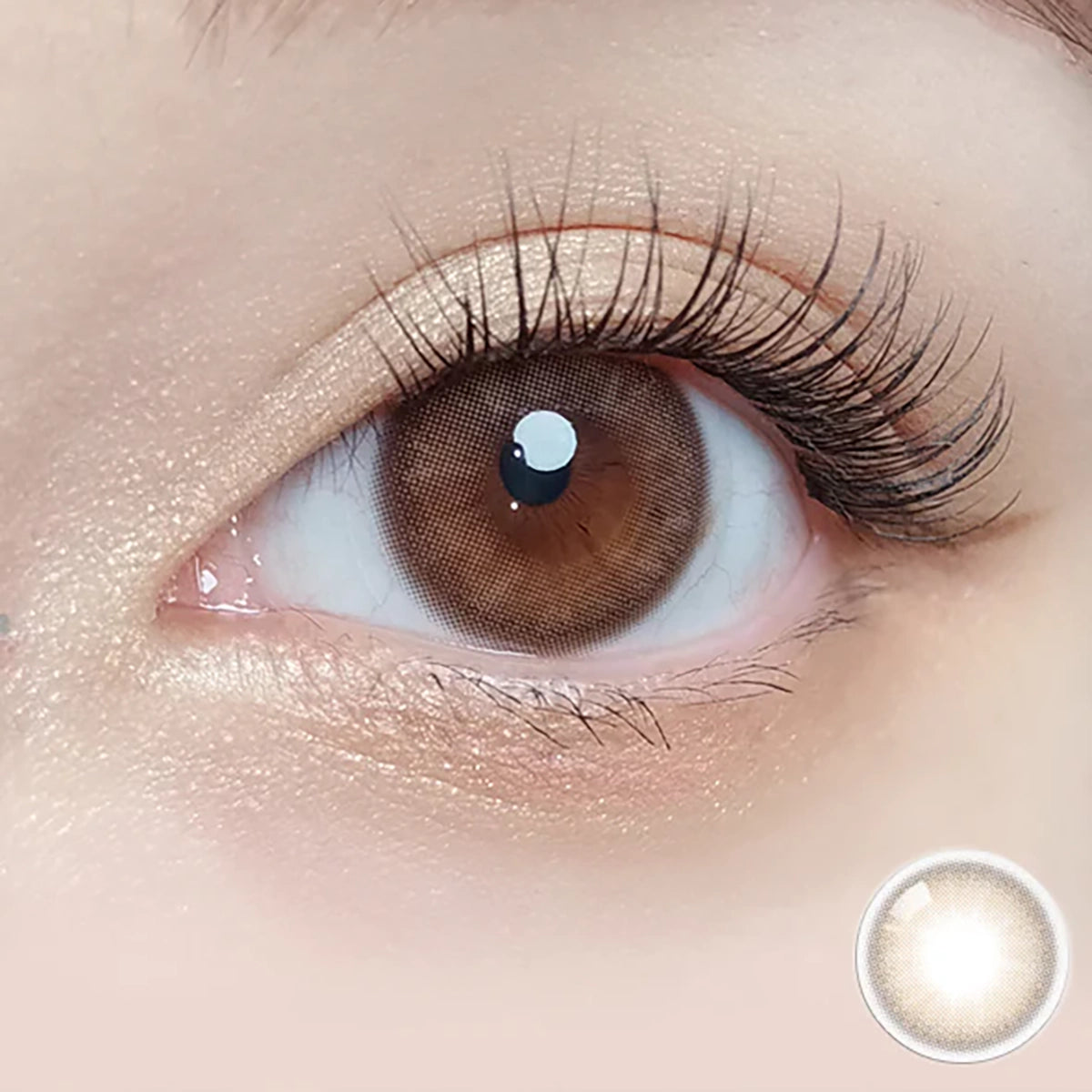 Mellows 1Day Muse Brown