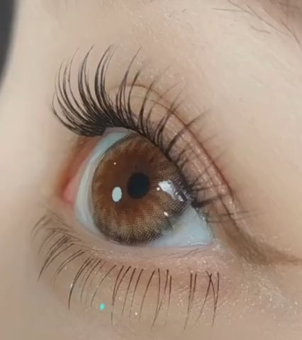 Dazzling 1Day Rosie Hazel