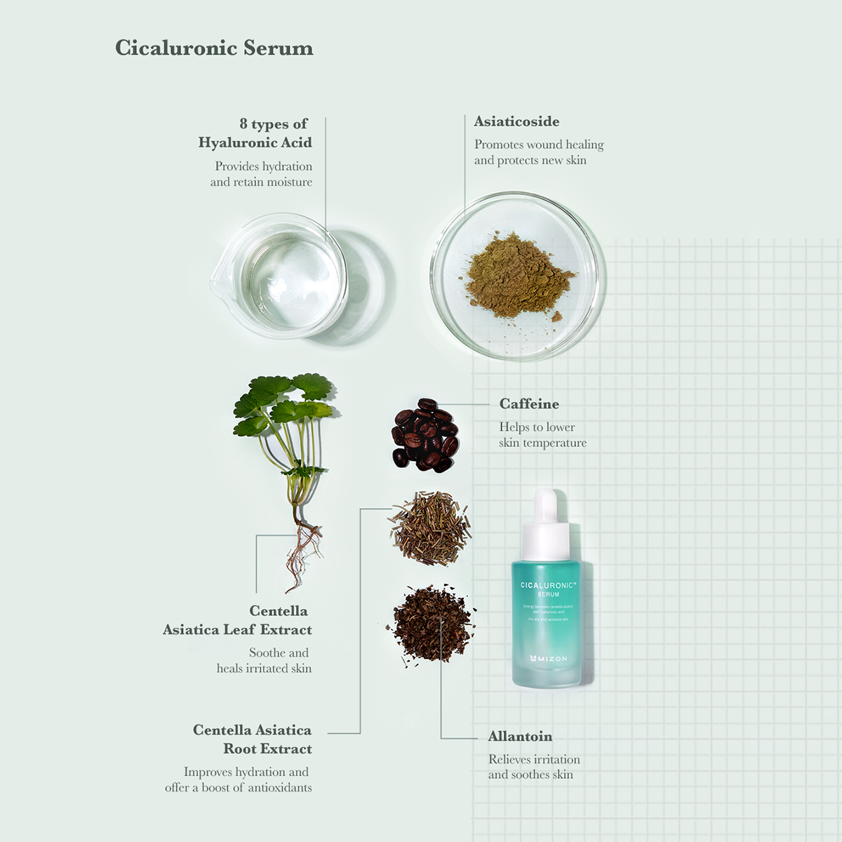 Cicaluronic Serum