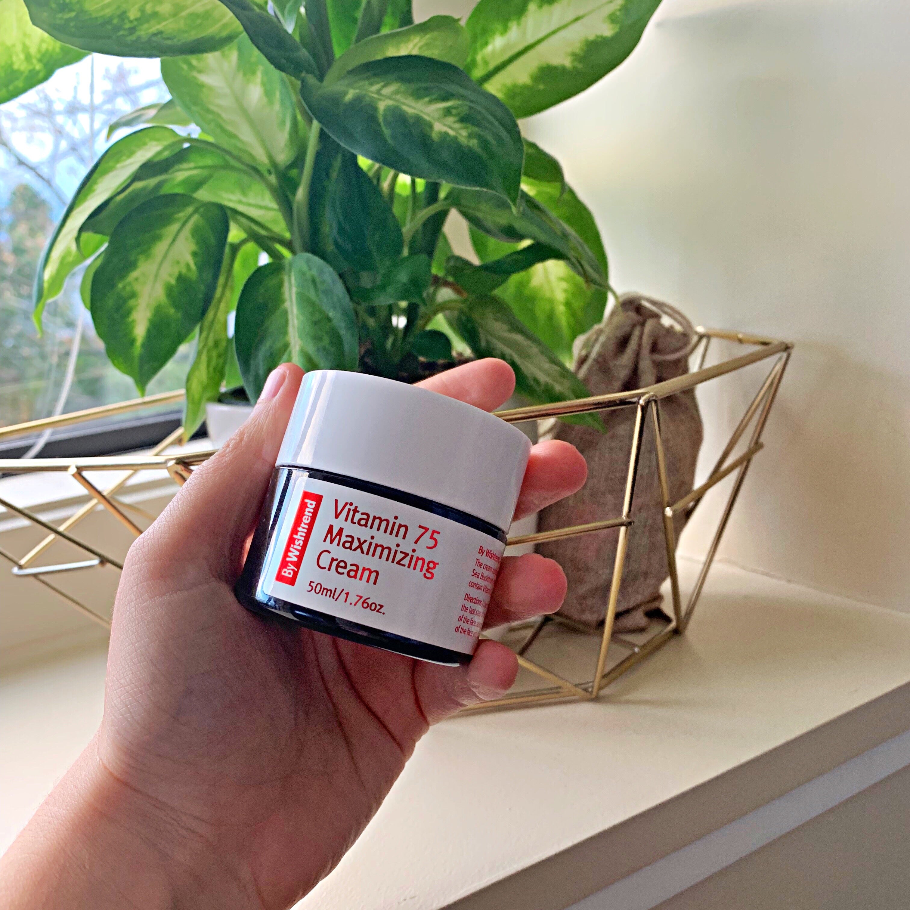 HI-REVIEW: By Wishtrend Vitamin 75 Maximizing Cream 🍋