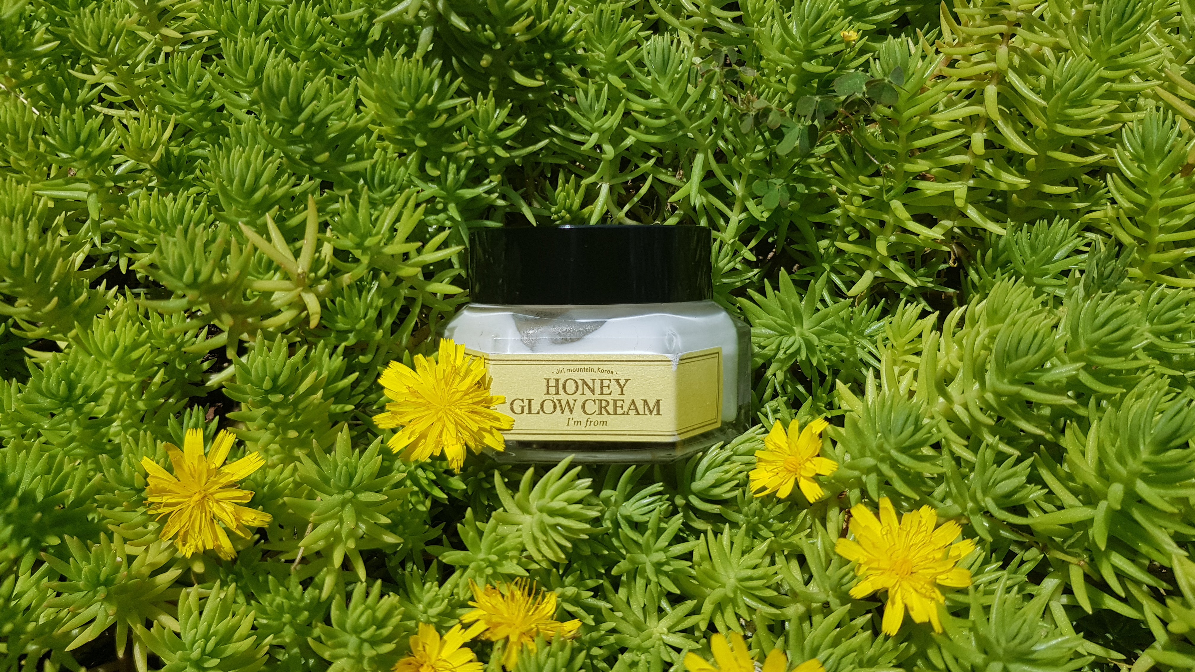 HI-REVIEW: I’m From Honey Glow Cream🌷