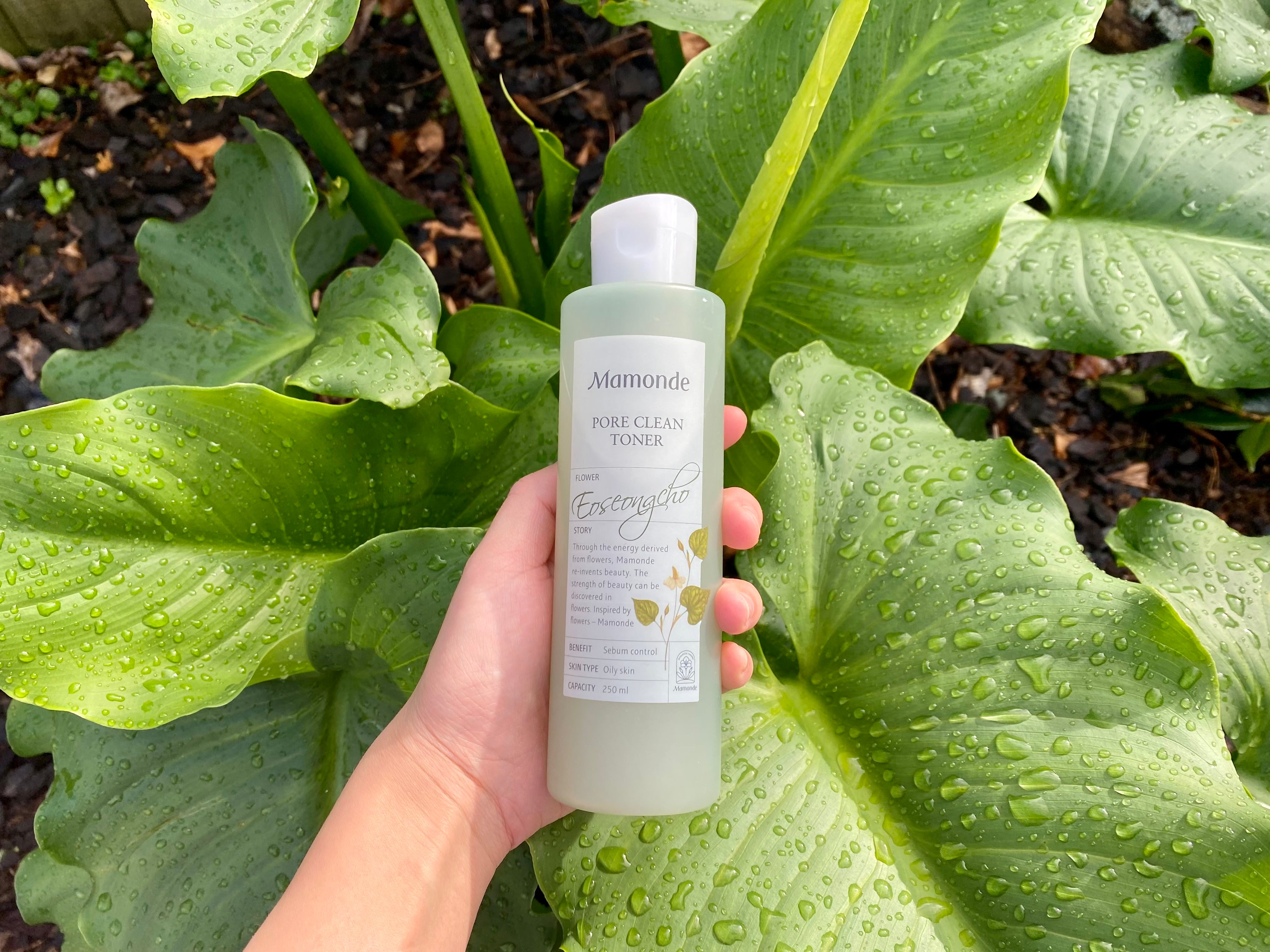 HI REVIEW: Mamonde Pore Clean Toner