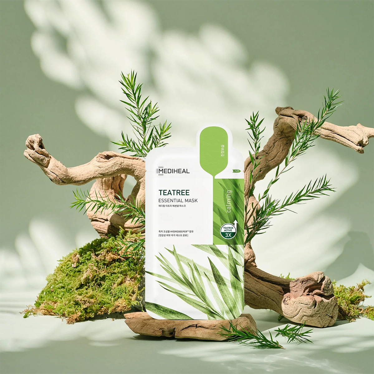 Teatree Essential Mask Set [10 Masks]