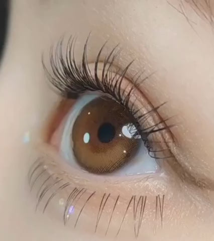Purity Shine 1Day Taupe Brown