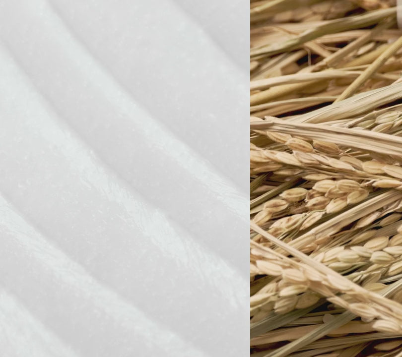 Rice Ceramide Capsule Cream